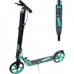 straight black/mint 200mm 2020 cu frana mana